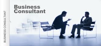 Service Provider of Business Consultant 1 New Delhi Delhi 